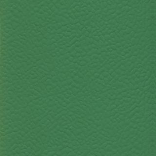 RECREATION 45 UNI 20.5 ML - VERDE
