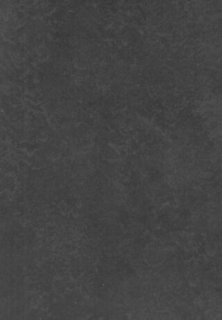 DLW LINODUR SPORT NEOCARE - SPORTY BLACK
