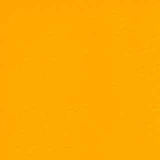 TARAFLEX® EVOLUTION - GOLD