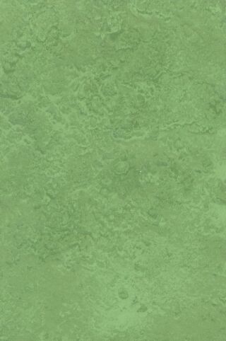 DLW LINODUR 4 MM - AVOCADO GREEN