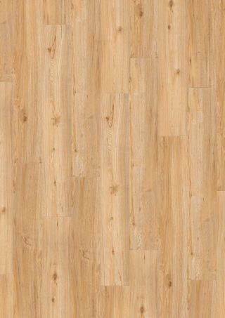 CREATION 55 TREND 152X762 - Planken