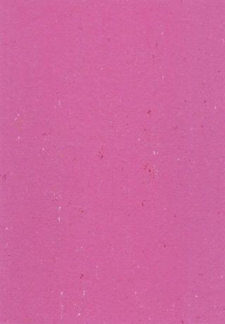 DLW COLORETTE ACOUSTIC PLUS 4.0 MM 19DB - CADILLAC PINK