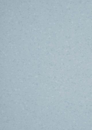 MIPOLAM SYMBIOZ T 2X20 ML - STONEHENGE