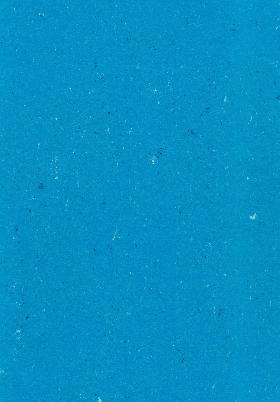 DLW COLORETTE SPORT NEOCARE - POPPY BLUE