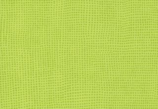 TARALAY INITIAL COMFORT 43 PRO - DIVERSION KIWI