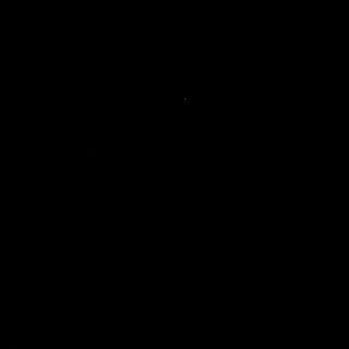 TARAFLEX® EVOLUTION - BLACK