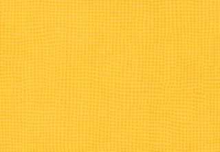 TARALAY INITIAL COMPACT - DIVERSION MIMOSA