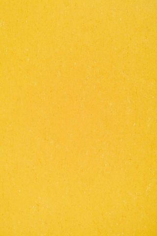 DLW COLORETTE ACOUSTIC PLUS 4.0 MM 19DB - BANANA YELLOW