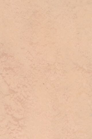 DLW LINODUR SPORT NEOCARE - COUNTRY BEIGE