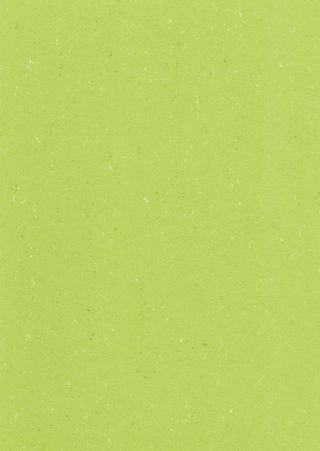 DLW COLORETTE ACOUSTIC PLUS 4.0 MM 19DB - SPICY GREEN