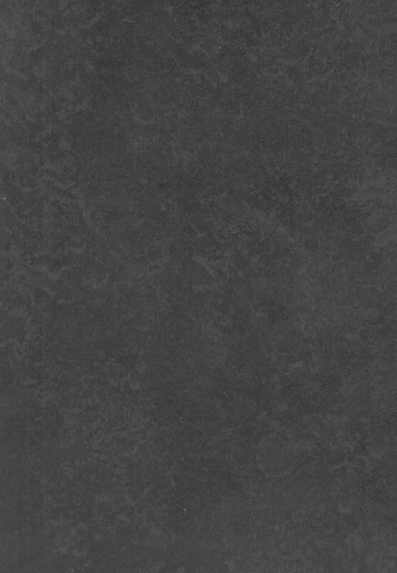 DLW LINODUR 4 MM - Bahnen