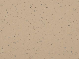 MIPOLAM BIOPLANET 2X20ML - SHEDDED GROUND