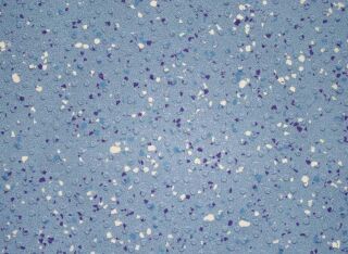 TARASAFE ULTRA H₂O - OCEAN BLUE