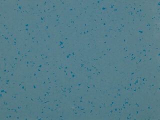 MIPOLAM BIOPLANET 2X20ML - ROCKY BLUE
