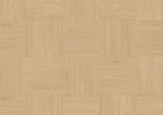 CREATION SAGA² 500X500 - TAMO CLEAR