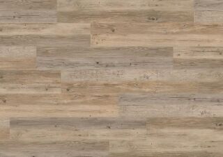 CREATION 55 LOOSELAY ACOUSTIC 229X1220 - Planken