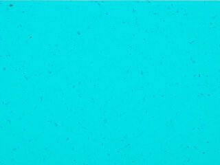 MIPOLAM BIOPLANET 2X20ML - REEF WATER