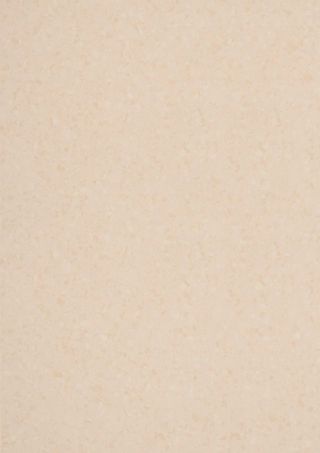 MIPOLAM SYMBIOZ T 2X20 ML - GHIBLI