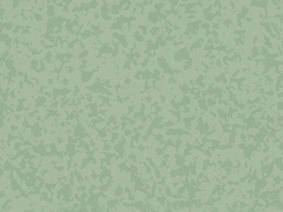 PREMIUM COMPACT OSMOZ - JASMIN