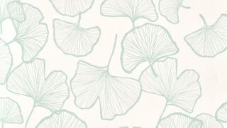 MURAL CALYPSO 2X30ML - GINKO SNOW GREEN