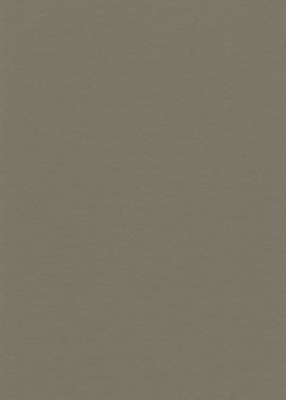 DLW UNI WALTON 2.5 MM - CLAY GREY