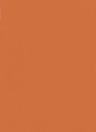 DLW UNI WALTON 2.5 MM - MEDITERRANEAN ORANGE