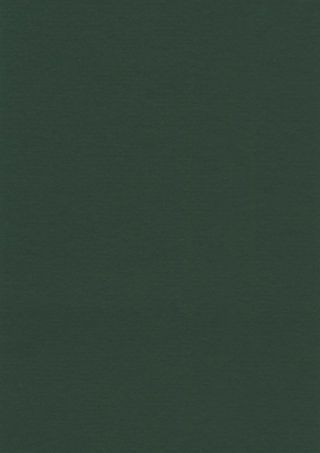 DLW UNI WALTON 2.5 MM - RACING GREEN