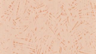 MURAL CALYPSO 2X30ML - TROPIC TERRA COPPER