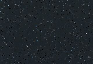 MIPOLAM EL5 2X20ML - BLACK