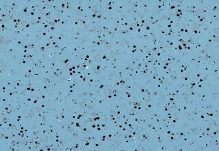 MIPOLAM EL5 2X20ML - BLUE
