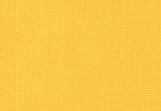 TARALAY INITIAL COMFORT 43 PRO - DIVERSION MIMOSA