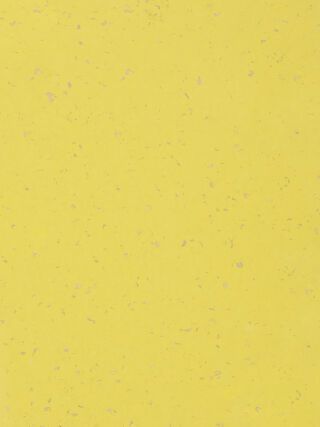 MIPOLAM BIOPLANET 2X20ML - SUNFLOWER