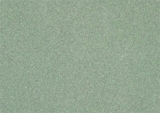 TARASAFE H₂O - BACALAR