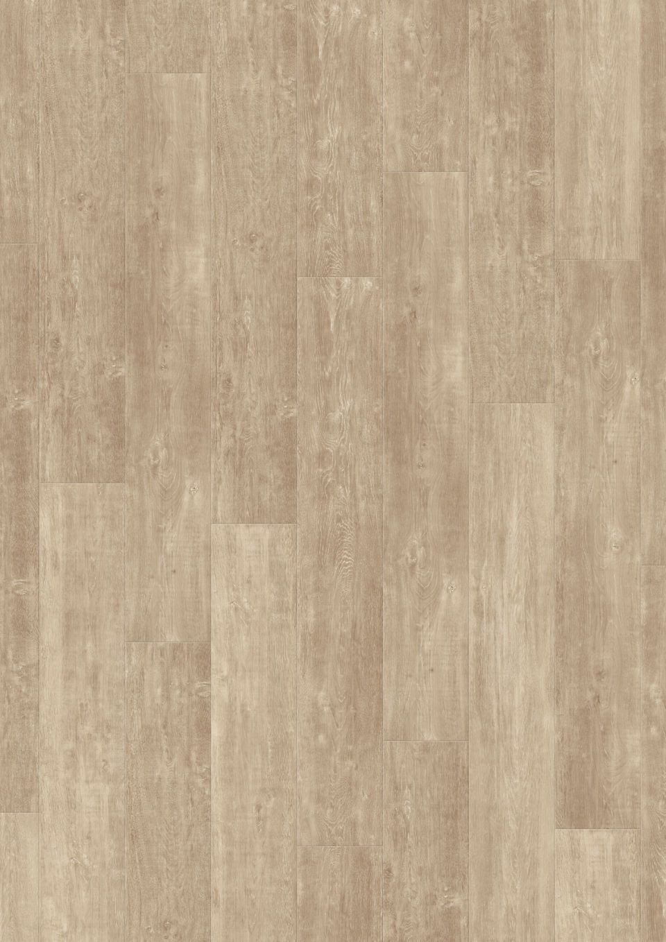 CREATION 55 TREND 184X1219 - Planken