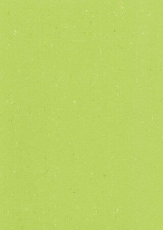 DLW COLORETTE SPORT NEOCARE - SPICY GREEN