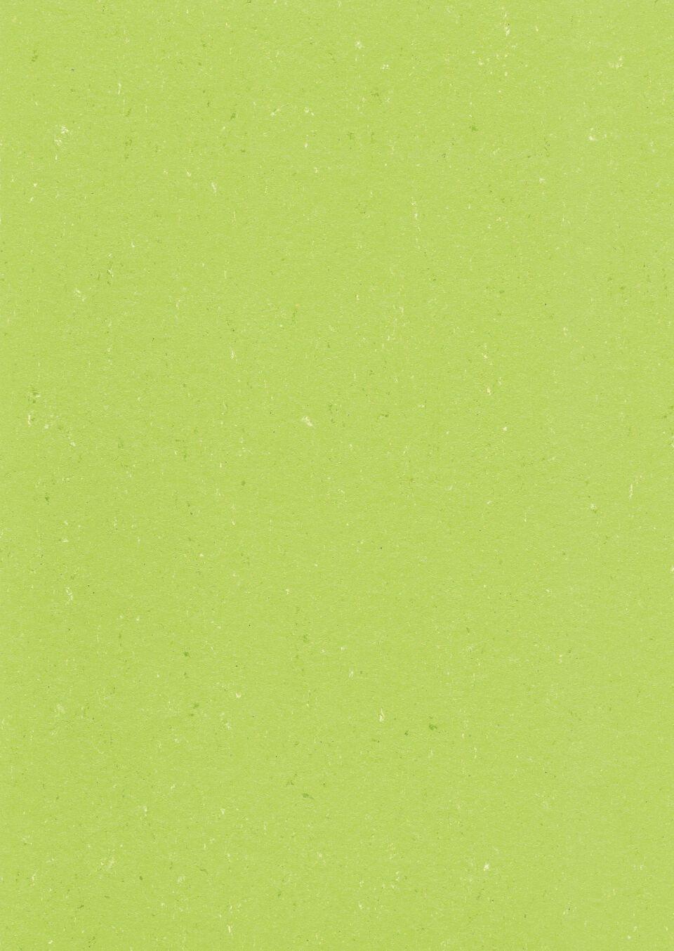 DLW COLORETTE SPORT NEOCARE - Bahnen