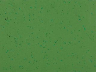 MIPOLAM BIOPLANET 2X20ML - AVENTURINE