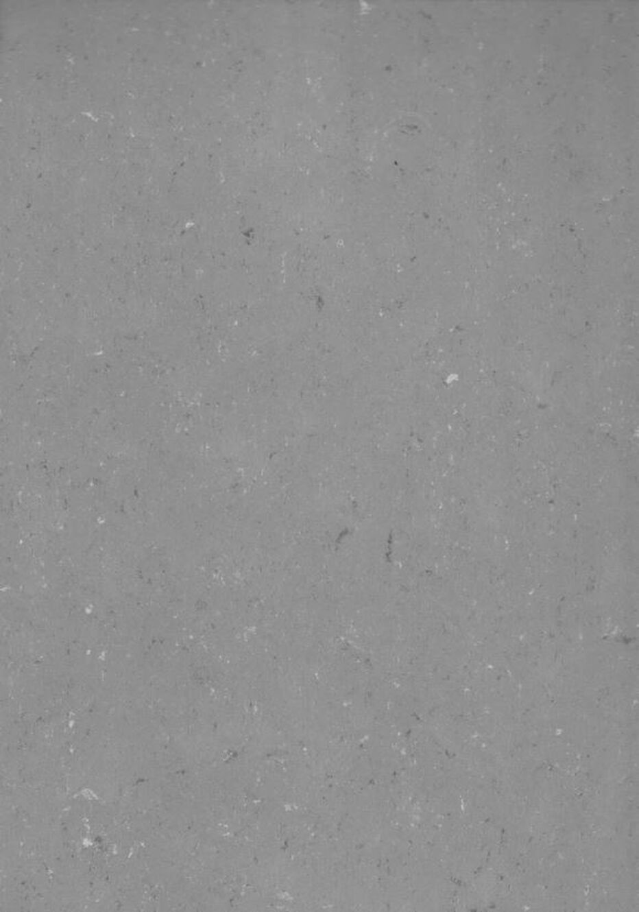 DLW COLORETTE SPORT NEOCARE - Bahnen