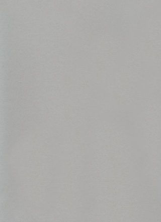 DLW UNI WALTON 2.5 MM - NICKEL GREY
