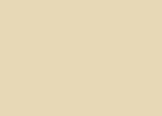 m.look Exterior U 5110 Ginger NT