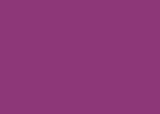 Max HPL (TK) U 0842 Brombeer Cupcake FH 1x2140x1060mm
