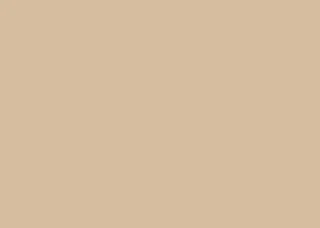Max HPL (TK) U 0627 Sanitärbeige FH 1x2140x1060mm
