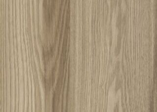 Max HPL (GR) H 0845 Jazz Eiche Vanille NI 1x2800x1300mm
