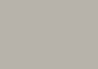 Max HPL (TK) U 0756 Warmgrau Mittel FH 1x2140x1060mm