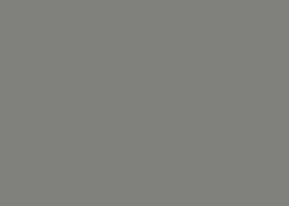 Max HPL (TK) U 0761 Neutralgrau Dunkel FH 1x2140x1060mm