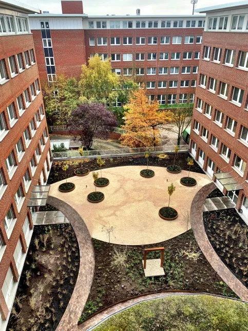 Mit dem Aufblühen der Pflanzen im Frühling wird aus dem einst tristen grauen Flachdach schon bald eine grüne Oase.