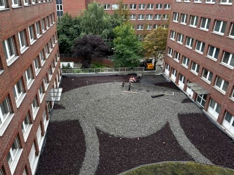 Grün ist das neue Grau