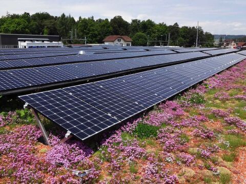 Nutzdächer als Beitrag zum Klimaschutz: Flächen effizient nutzen