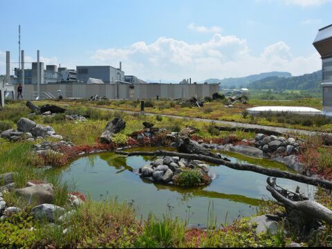 Nutzdächer als Beitrag zum Klimaschutz: Flächen effizient nutzen