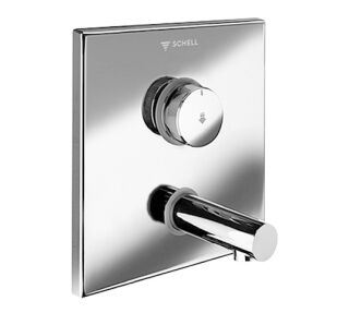 SCHELL Unterputz-Waschtisch-Armatur LINUS W-SC-V, Kaltwasser / vorgemischtes Wasser, Frontplatte, Wandauslauf mit Strahlregler (diebstahlsicher), Auslauf 230 mm, Frontplatte Edelstahl gebürstet